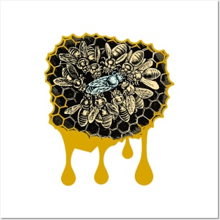 Queen bee on the dripping honeycomb beekeeper Posters and Art